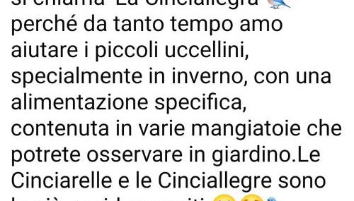 La Cinciallegra - Locazione Turistica - Foto 3