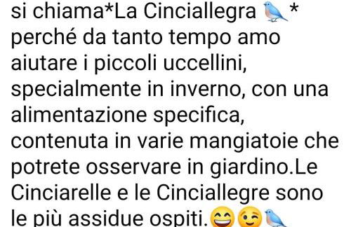 La Cinciallegra - Locazione Turistica - Foto 3