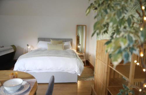 Garden Studio in Biggar - Photo 17