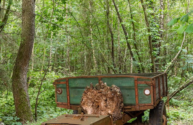 Villa De Hertsbergier - Foto 28