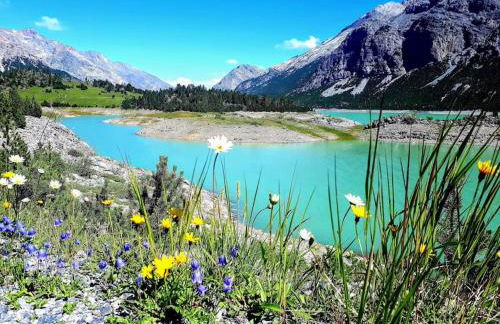 La terrazza sul Vallecetta - Foto 60