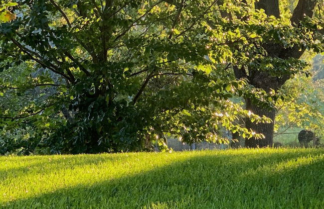 Bio & B Italyke - Foto 43