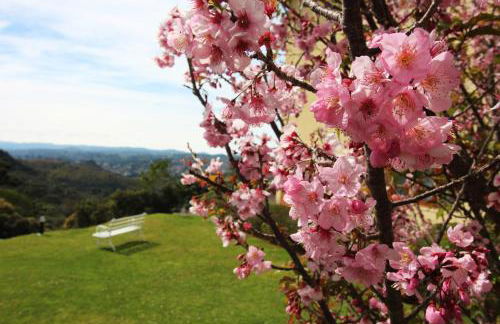 Apartamento Vista para as Montanhas - Foto 30