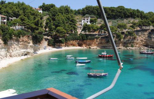 Pension Dimitris - Photo 14