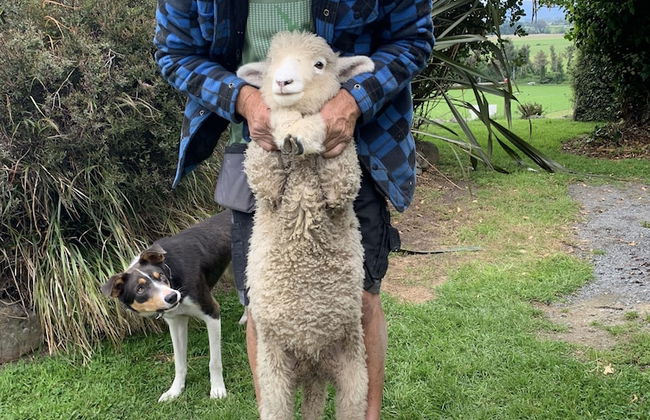Cubby House Stay - Kaikoura - Foto 55