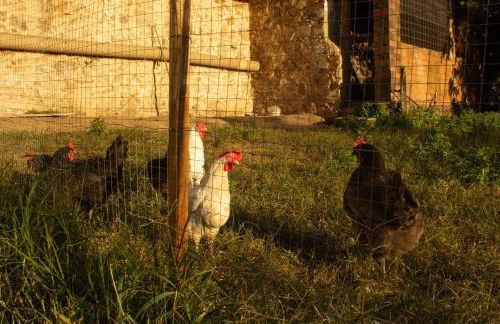 Can Rovira - Stunning Neoclassical Mansion, Just 20 min drive from Barcelona City Center, Ideal for groups and families - Foto 59