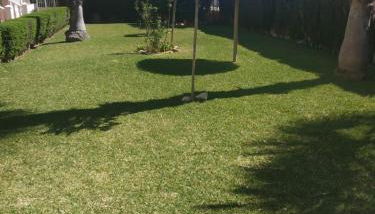 CALA DORADA RESoRT TORREVIEJA - Foto 5