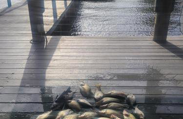 Sunset Paradise - Foto 5