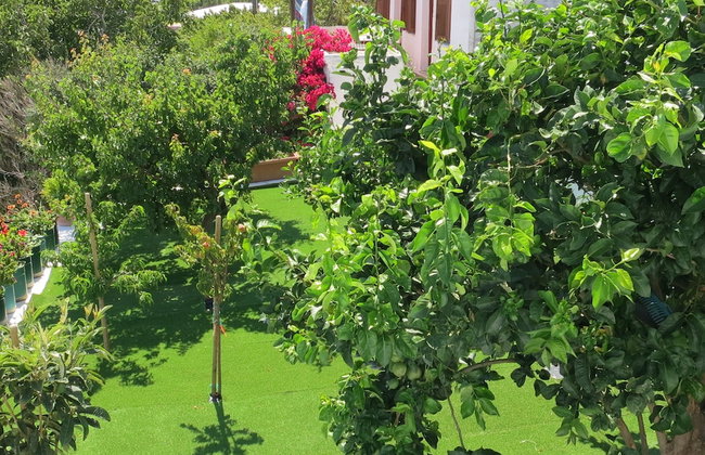 Room-andoni's House in Pitrofos Andros i - Photo 15