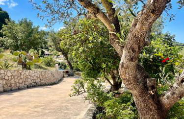 Villa Apelati - Foto 26