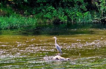 Schönes Apartment / Ferienwohnung am Regen - Foto 28