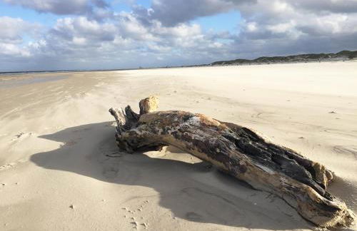 Friesenhaus Amrum Friesenhaushälfte *Hommelkasche* - Foto 57