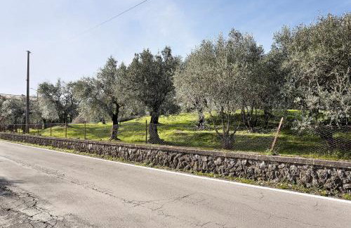 Casa tra gli ulivi vicino al mare - Foto 21