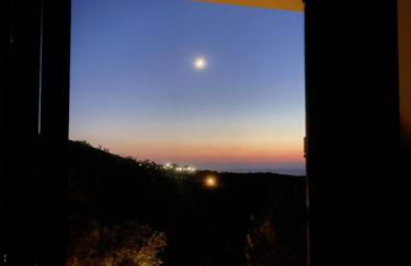 Kyparissia De Wandelboom - Foto 32