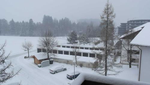 FeWo Ortloff - Foto 2