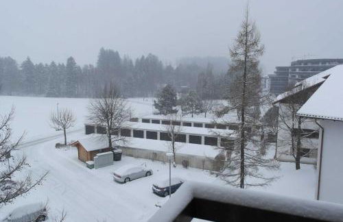 FeWo Ortloff - Foto 2