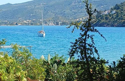 Villa Mimosa Poros Beachfront Apartments - Foto 19