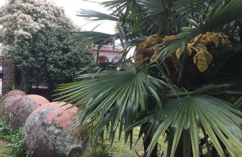 Las Hazas Jarandilla de la Vera - Foto 58