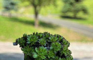 Apartments Jezerce 28 - Foto 24