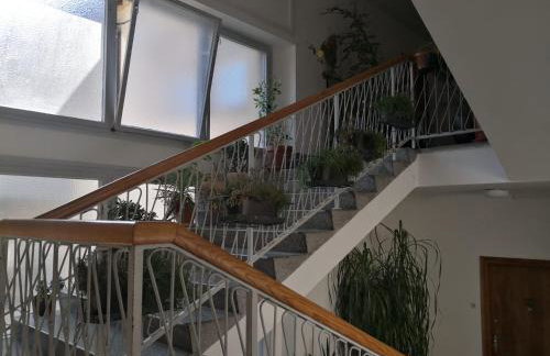 Centrally Chic Studio - Photo 18