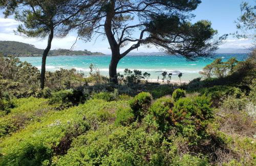 Petite Villa indépendante - Grande piscine 12x8 - Foto 31