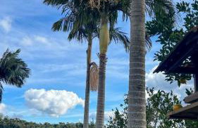 Casa Bela Montanha - Foto 37