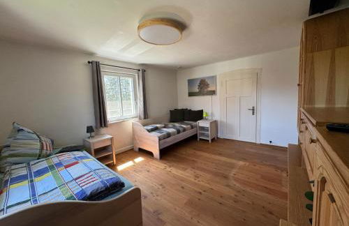 Sonnenschein - Foto 8