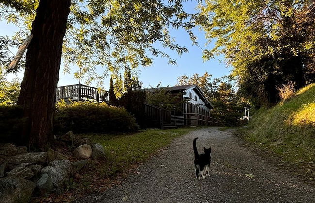 Agriturismo Prisma - Foto 21