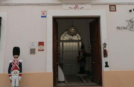 PlomHist Museum Ticket - Photo 1