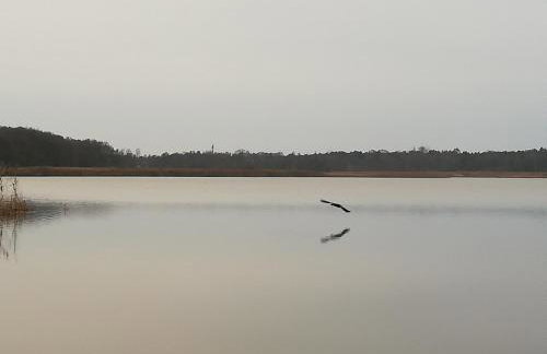 Domki letniskowe Hamer - Foto 2