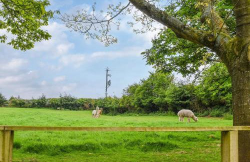 Birch Lodge - Uk30006 - Foto 33