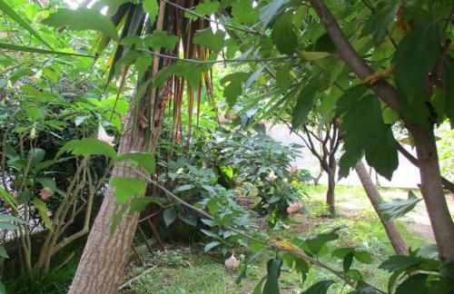 RESORT Giardino degli aranci - Casa Lisca - Foto 22