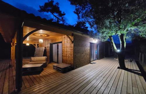 Monta Casa - Foto 19