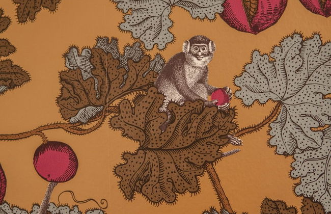 Ca' della Scimmia - Foto 6