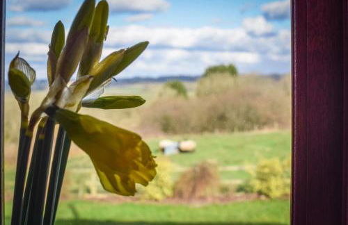 2 Bed in Cardiff oc-91710 - Foto 6