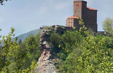 Ferienwohnungen Annweiler am Trifels - Foto 44
