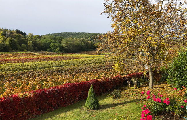 Am Weinberg - Foto 19