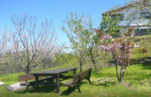 Casa completa - Photo 24