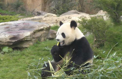 La Maison Bleue - Foto 14