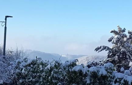 Haus am Wald - Foto 5