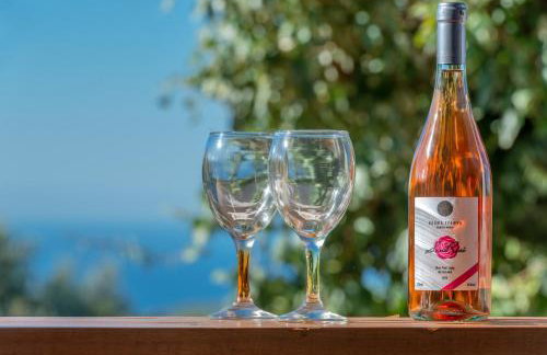 Sempreviva - Foto 59