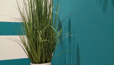 Ferienhaus Eckernfeld Bremerhaven - Foto 2