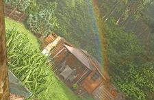 Zum Grünen Apartment - Foto 7