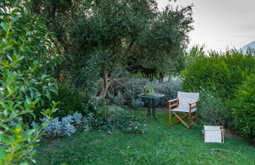 DH Epavlis - Photo 22