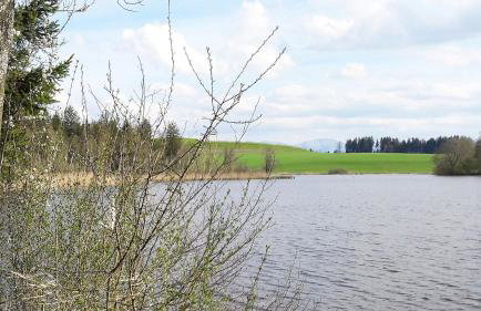 Ferienwohnung Rupp Bergblick & private Sauna - Photo 21