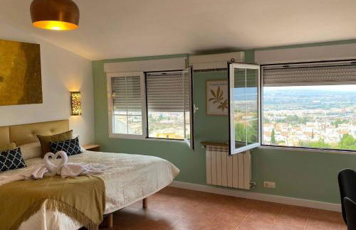 VillaSanMiguelAlto Albaicin - Foto 23