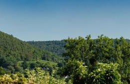 Bürgstadt, Am Bischof mit Sonnenterrasse, 1 bis 4 Betten - Foto 73