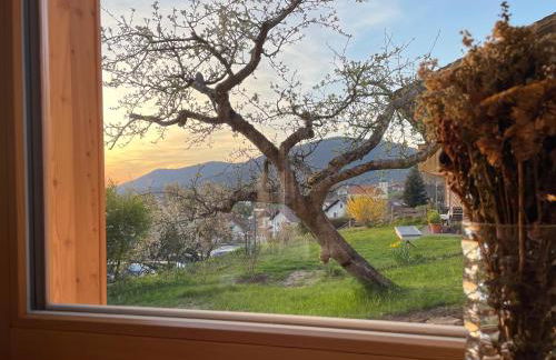 Bayerwald Chalet Kaitersberg mit Sauna, Sonnenterrasse und Garten - Foto 21