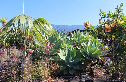 Casa la Majada - Photo 55