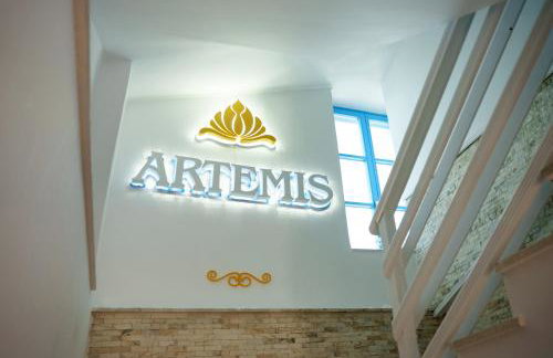 ARTEMIS SUITE - Photo 71
